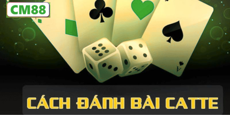 Giới Thiệu Tổng Quan Về Nguồn Gốc Của Bài Catte